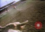 Immagine di Toro di equitazione United States USA, 1984, secondo 36 filmato di repertorio 65675068151