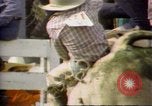 Immagine di Toro di equitazione United States USA, 1984, secondo 41 filmato di repertorio 65675068151