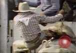 Immagine di Toro di equitazione United States USA, 1984, secondo 43 filmato di repertorio 65675068151