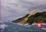 Immagine di Windsurf United States USA, 1984, secondo 1 filmato di repertorio 65675068152