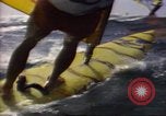 Immagine di Windsurf United States USA, 1984, secondo 6 filmato di repertorio 65675068152