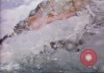Immagine di Windsurf United States USA, 1984, secondo 45 filmato di repertorio 65675068152