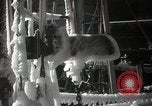 Standbild gefroren Segelschiffe Boston Massachusetts USA, 1939, aus Sekunde 7 historischem Filmmaterial Videoclip 65675068173