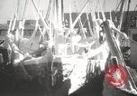 Standbild gefroren Segelschiffe Boston Massachusetts USA, 1939, aus Sekunde 10 historischem Filmmaterial Videoclip 65675068173