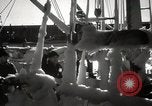 Standbild gefroren Segelschiffe Boston Massachusetts USA, 1939, aus Sekunde 13 historischem Filmmaterial Videoclip 65675068173