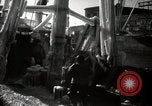 Standbild gefroren Segelschiffe Boston Massachusetts USA, 1939, aus Sekunde 26 historischem Filmmaterial Videoclip 65675068173