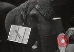 Standbild British Tea centenary London England Vereinigtes Königreich, 1939, aus Sekunde 13 historischem Filmmaterial Videoclip 65675068174