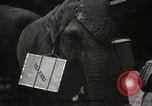 Standbild British Tea centenary London England Vereinigtes Königreich, 1939, aus Sekunde 14 historischem Filmmaterial Videoclip 65675068174