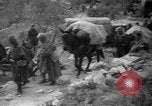 Image of Republican loyalist forces Catalonia Spain, 1939, second 36 stock footage video 65675068177