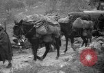 Image of Republican loyalist forces Catalonia Spain, 1939, second 45 stock footage video 65675068177