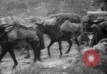 Image of Republican loyalist forces Catalonia Spain, 1939, second 46 stock footage video 65675068177