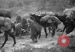 Image of Republican loyalist forces Catalonia Spain, 1939, second 49 stock footage video 65675068177