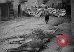 Image of Republican loyalist forces Catalonia Spain, 1939, second 55 stock footage video 65675068177