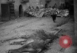 Image of Republican loyalist forces Catalonia Spain, 1939, second 56 stock footage video 65675068177