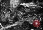 Standbild Ausschreitungen Manchester England, 1939, aus Sekunde 19 historischem Filmmaterial Videoclip 65675068180