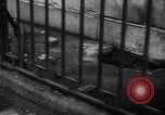 Standbild Ausschreitungen Manchester England, 1939, aus Sekunde 24 historischem Filmmaterial Videoclip 65675068180