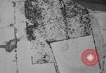 Image of Henry Lloyd Child Buffalo New York USA, 1939, second 53 stock footage video 65675068181