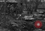 Immagine di 509a paracadute battaglione di fanteria Hotton Belgio, 1944, secondo 4 filmato di repertorio 65675068198
