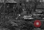 Immagine di 509a paracadute battaglione di fanteria Hotton Belgio, 1944, secondo 7 filmato di repertorio 65675068198