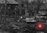 Immagine di 509a paracadute battaglione di fanteria Hotton Belgio, 1944, secondo 8 filmato di repertorio 65675068198