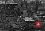 Immagine di 509a paracadute battaglione di fanteria Hotton Belgio, 1944, secondo 9 filmato di repertorio 65675068198