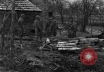 Immagine di 509a paracadute battaglione di fanteria Hotton Belgio, 1944, secondo 11 filmato di repertorio 65675068198