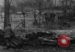 Immagine di 509a paracadute battaglione di fanteria Hotton Belgio, 1944, secondo 14 filmato di repertorio 65675068198
