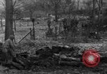 Immagine di 509a paracadute battaglione di fanteria Hotton Belgio, 1944, secondo 15 filmato di repertorio 65675068198