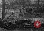 Immagine di 509a paracadute battaglione di fanteria Hotton Belgio, 1944, secondo 16 filmato di repertorio 65675068198