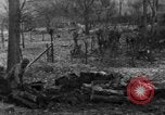 Immagine di 509a paracadute battaglione di fanteria Hotton Belgio, 1944, secondo 18 filmato di repertorio 65675068198