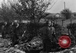 Immagine di 509a paracadute battaglione di fanteria Hotton Belgio, 1944, secondo 26 filmato di repertorio 65675068198