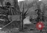 Immagine di 509a paracadute battaglione di fanteria Hotton Belgio, 1944, secondo 35 filmato di repertorio 65675068199