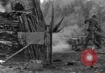 Immagine di 509a paracadute battaglione di fanteria Hotton Belgio, 1944, secondo 36 filmato di repertorio 65675068199