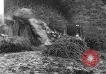 Immagine di 509a paracadute battaglione di fanteria Hotton Belgio, 1944, secondo 39 filmato di repertorio 65675068199