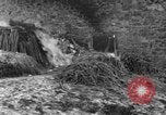 Immagine di 509a paracadute battaglione di fanteria Hotton Belgio, 1944, secondo 42 filmato di repertorio 65675068199