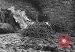 Immagine di 509a paracadute battaglione di fanteria Hotton Belgio, 1944, secondo 43 filmato di repertorio 65675068199