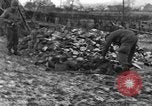 Immagine di 509a paracadute battaglione di fanteria Hotton Belgio, 1944, secondo 44 filmato di repertorio 65675068199