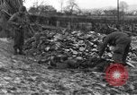 Immagine di 509a paracadute battaglione di fanteria Hotton Belgio, 1944, secondo 45 filmato di repertorio 65675068199
