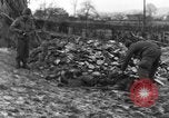 Immagine di 509a paracadute battaglione di fanteria Hotton Belgio, 1944, secondo 46 filmato di repertorio 65675068199