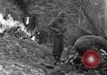 Immagine di 509a paracadute battaglione di fanteria Hotton Belgio, 1944, secondo 48 filmato di repertorio 65675068199