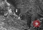 Immagine di 509a paracadute battaglione di fanteria Hotton Belgio, 1944, secondo 52 filmato di repertorio 65675068199