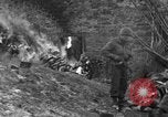Immagine di 509a paracadute battaglione di fanteria Hotton Belgio, 1944, secondo 53 filmato di repertorio 65675068199