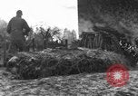 Immagine di 509a paracadute battaglione di fanteria Hotton Belgio, 1944, secondo 56 filmato di repertorio 65675068199