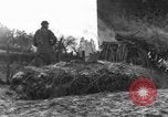 Immagine di 509a paracadute battaglione di fanteria Hotton Belgio, 1944, secondo 57 filmato di repertorio 65675068199