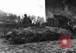 Immagine di 509a paracadute battaglione di fanteria Hotton Belgio, 1944, secondo 59 filmato di repertorio 65675068199