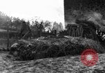 Immagine di 509a paracadute battaglione di fanteria Hotton Belgio, 1944, secondo 60 filmato di repertorio 65675068199