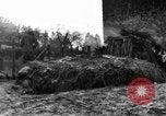 Immagine di 509a paracadute battaglione di fanteria Hotton Belgio, 1944, secondo 61 filmato di repertorio 65675068199