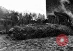 Immagine di 509a paracadute battaglione di fanteria Hotton Belgio, 1944, secondo 62 filmato di repertorio 65675068199