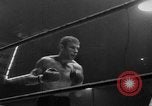 Image of Boxing match Belgium, 1963, second 21 stock footage video 65675068211