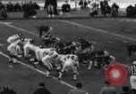 Image Géants jeu de football de Steelers versus 1963 Bronx New York City USA, 1963, de la seconde 39 séquences d'archives historiques vidéo 65675068216